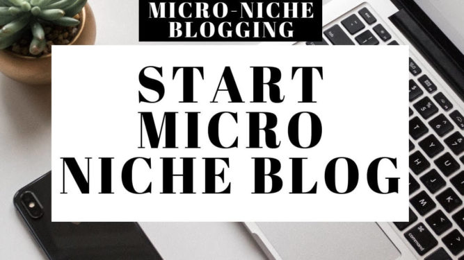 Pengertian Blog Micro Niche Keuntungan dan Kerugiannya