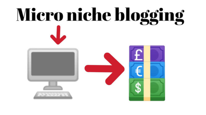 Blog Micro Niche vs Broad Niche, Mana Yang Kamu Pilih